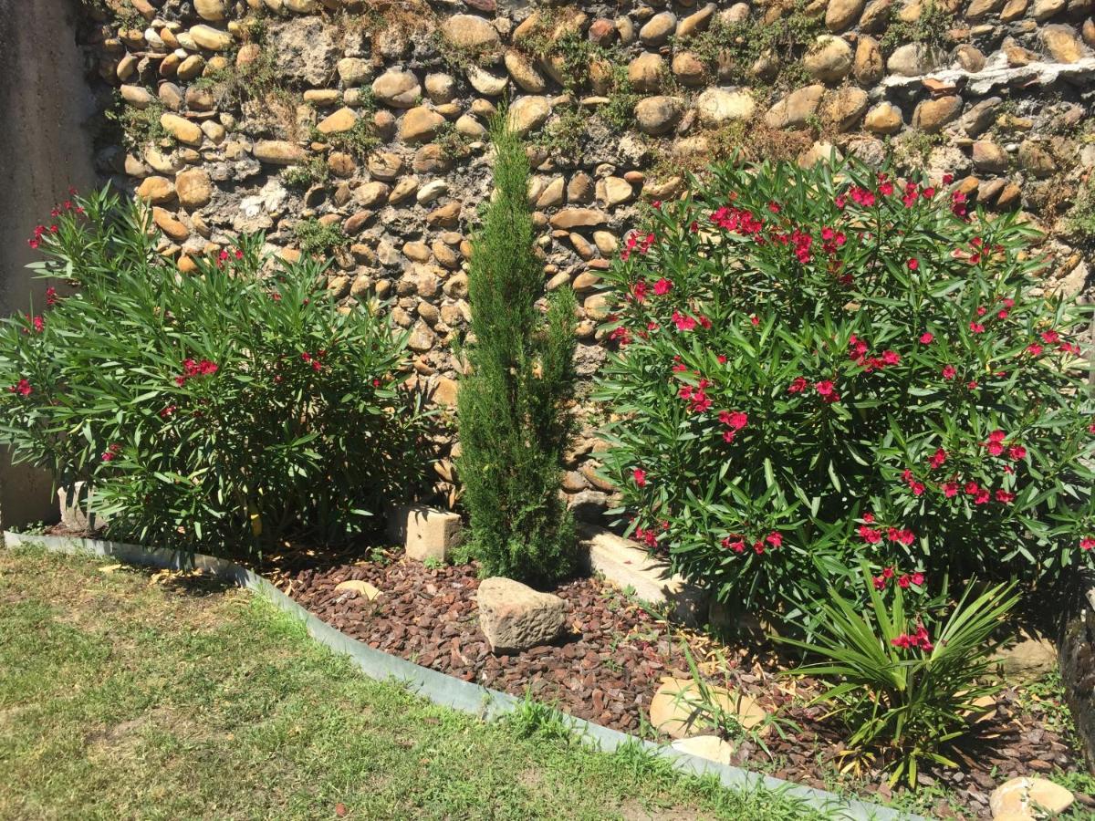 Le Charles IX Roussillon (Isere) Exterior foto
